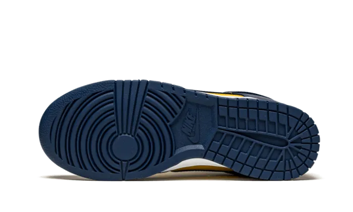 Dunk Low Michigan - DD1391-700