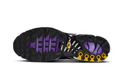 Nike Nike Air Max Plus Voltage Purple - CD0609-024 / DX0755-500