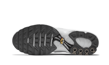 Nike Nike Air Max Plus White - 604133-139