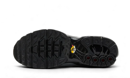 Nike Nike Air Max Plus Tiempo Wolf Grey - HM6850-001