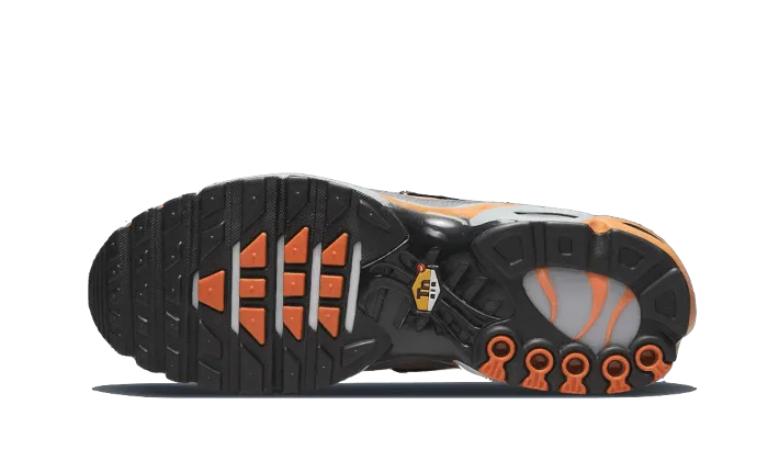 Nike Air Max Plus Grey Orange - DM0032-001