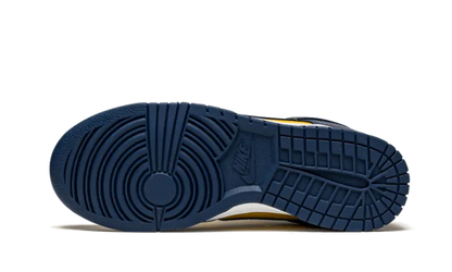 Nike Dunk Low Michigan - DD1391-700 / CW1590-700