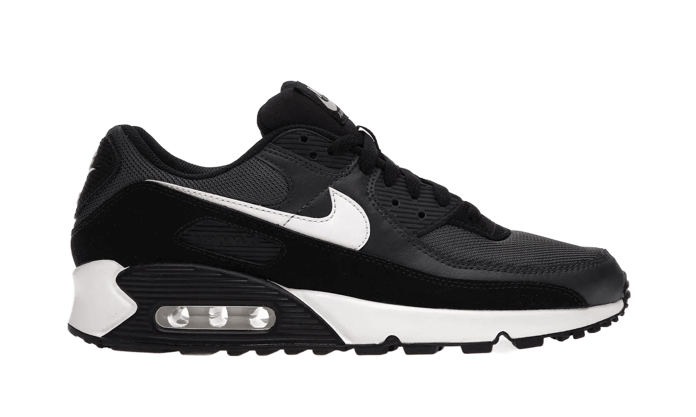 Nike Air Max 90 Iron Grey - CN8490-002 / CZ5866-002