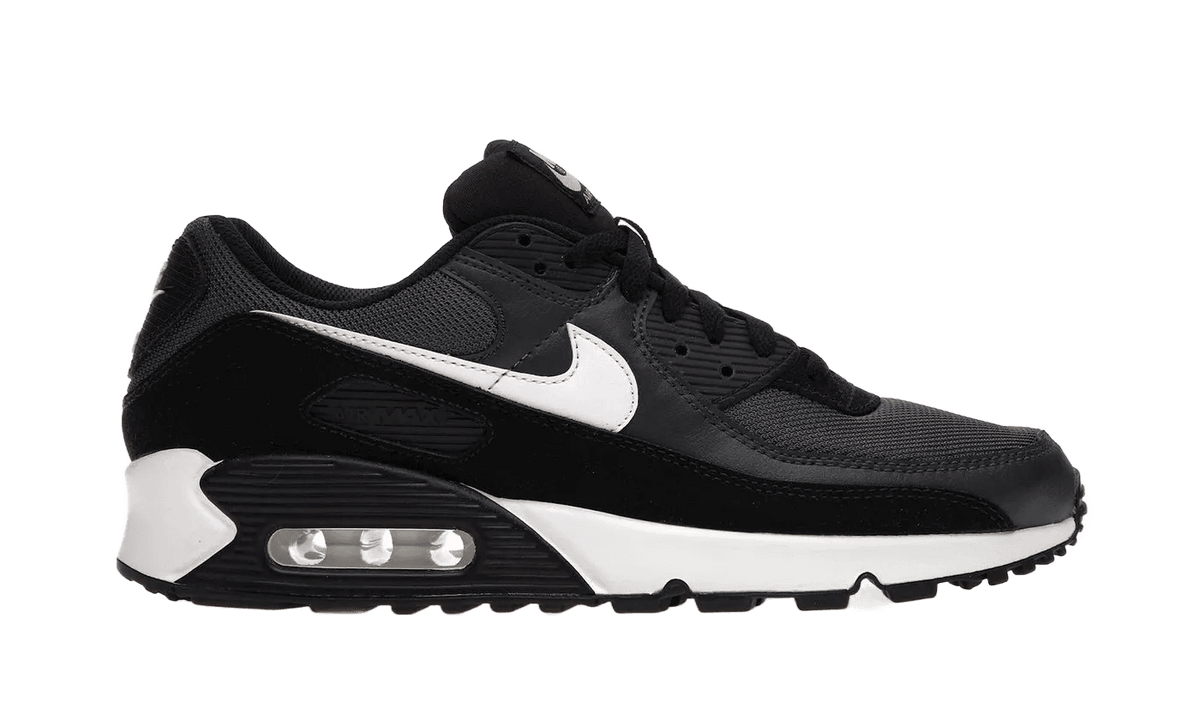 Nike Air Max 90 Iron Grey - CN8490-002 / CZ5866-002