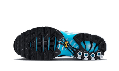 Nike Nike Air Max Plus Baltic Blue - FD9751-100