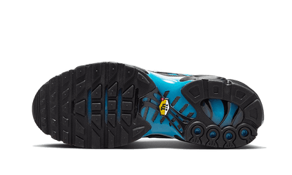 Nike Nike Air Max Plus Blue Gradient - FQ0204-010