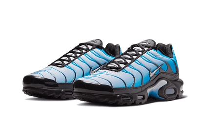 Nike Nike Air Max Plus Blue Gradient - FQ0204-010