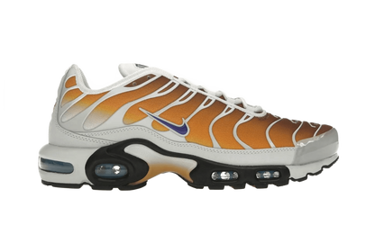 Nike Air Max Plus One Block Down Chutney - FZ3308-700