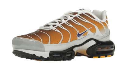 Nike Air Max Plus One Block Down Chutney - FZ3308-700