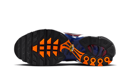 Nike Nike Air Max Plus Patta FC Barcelona - FN8260-001