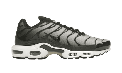 Nike Air Max Plus Sequoia Cargo Khaki - DM0032-300