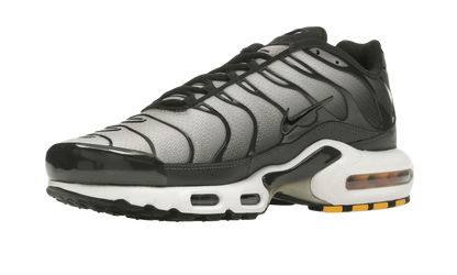 Nike Air Max Plus Sequoia Cargo Khaki - DM0032-300