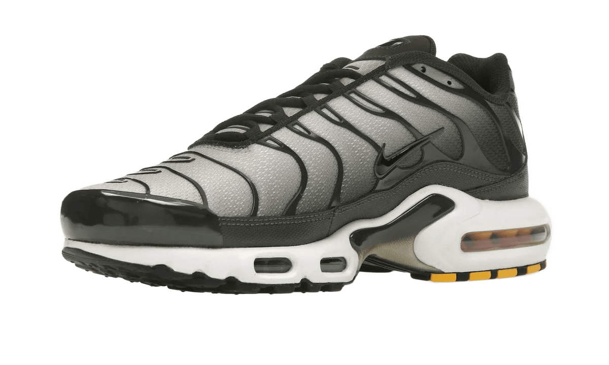 Nike Air Max Plus Sequoia Cargo Khaki - DM0032-300
