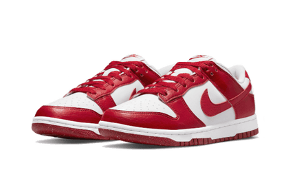 Nike Nike Dunk Low Next Nature Gym Red - DN1431-101